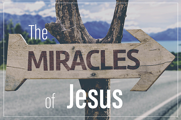 The Miracles of Jesus Image
