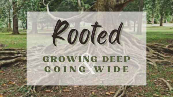 ROOTED:  The Disciple's Stewardship Image
